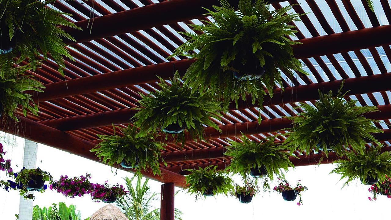 Cabanas Del Capitan Rincon de Guayabitos Ngoại thất bức ảnh